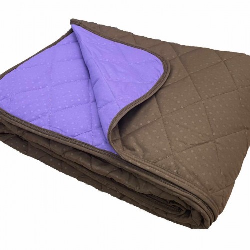 DOUBLE-SIDED BLANKET ONLY MICRO DOT BROWN/PURPLE 160X220 LINEAHOME