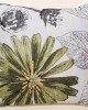 ΜΑΞΙΛΑΡΟΘΗΚΗ (45cm x 45cm) FLOWER GREEN