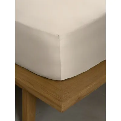Κατωσέντονο Βαμβακοσατέν Omnia με λάστιχο Beige Υπέρδιπλο (180x200 40)