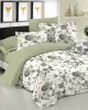 Σετ Σεντόνια Le Blanc Premium Cotton 100%  Rose Olive Μονά με λάστιχο 100x200 33
