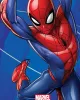 Πετσέτα Θαλάσσης Quick Dry Marvel Spider-Man 184 70X140 Blue 100%  Microfiber