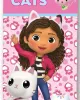 Πετσέτα Θαλάσσης Quick Dry DreamWorks Gabby-s Dollhouse 113 70X140 Pink 100%  Microfiber