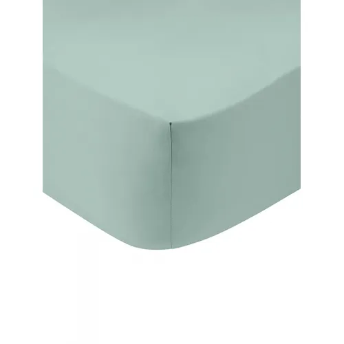 Κατωσέντονο Cotton Feelings με λάστιχο 105 Aqua Ημίδιπλο (120x200 30)