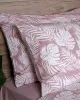 Σετ Σεντόνια Cotton Feelings 2038 Pink Μονό με λάστιχο(105x205 30) Σετ Σεντόνια Cotton Feelings 2038 Pink Μονό με λάστιχο(105x205 30)