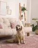 Χαλί PINK SHADE 160 x 230 εκ. Χαλί PINK SHADE 160 x 230 εκ.