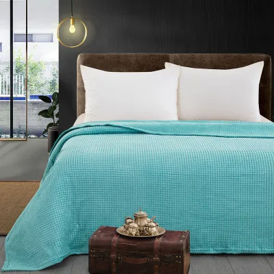 Beauty Home Κουβέρτα μονόχρωμη μονή Fleece Art 11554 160x220 Τυρκουαζ      