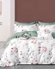 Beauty Home Σετ σεντόνια υπέρδιπλα με λάστιχο Memories Art 12681 165x200 30 Εκρού,Βεραμάν      