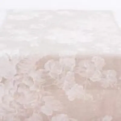 ΡΑΝΝΕΡ ΛΕΥΚΟ ΛΟΥΛΟΥΔΙ   Beauty Home