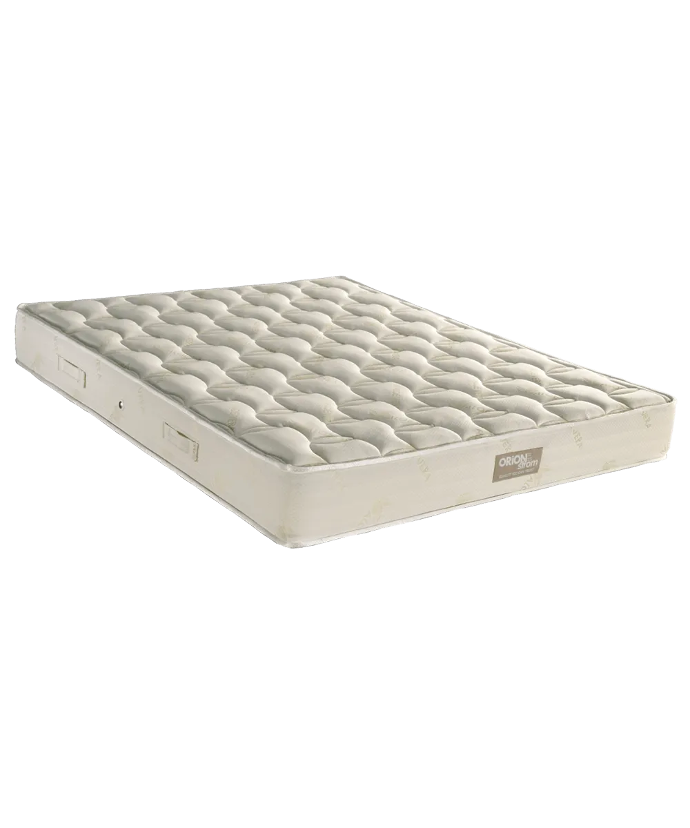 E055 Estia Aloe Vera Foam 250