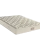 E055 Estia Aloe Vera Foam 250